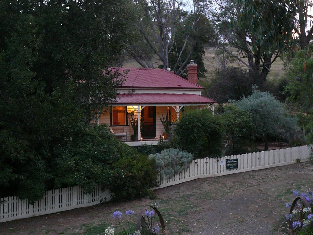 Sinnamons Cottage Maldon Rum bild